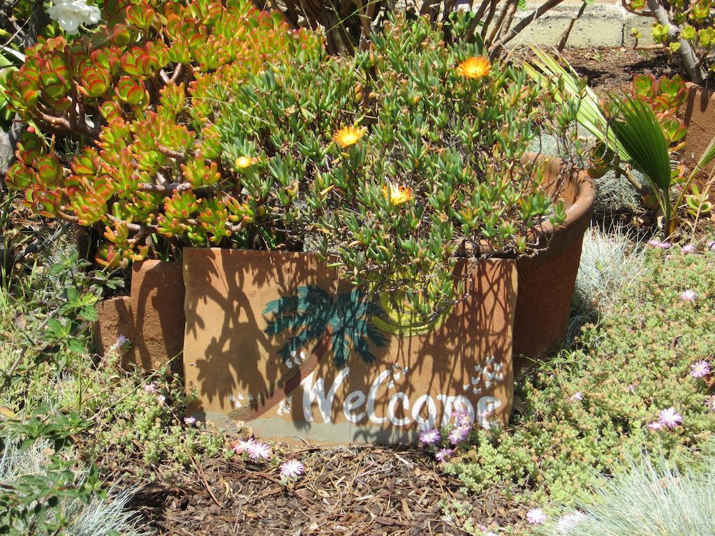 Hi San Diego Point Loma Hostel الغرفة الصورة