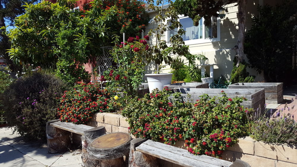 Hi San Diego Point Loma Hostel المظهر الخارجي الصورة